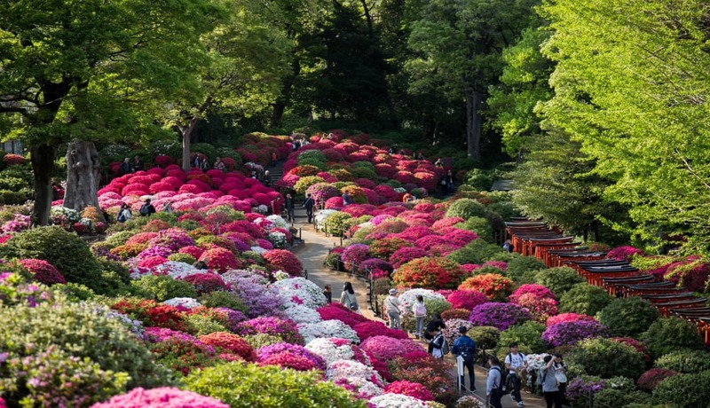 根津神社
